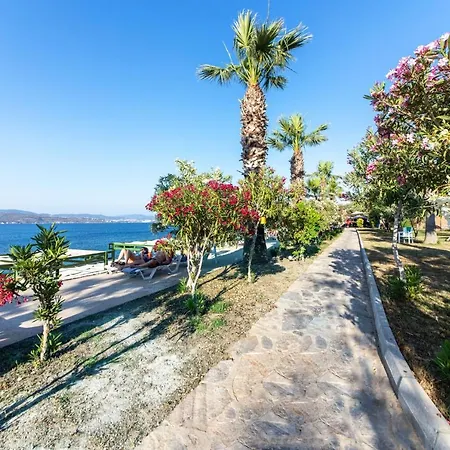Peaceful Flat With Backyard In Bodrum Villa Akyarlar